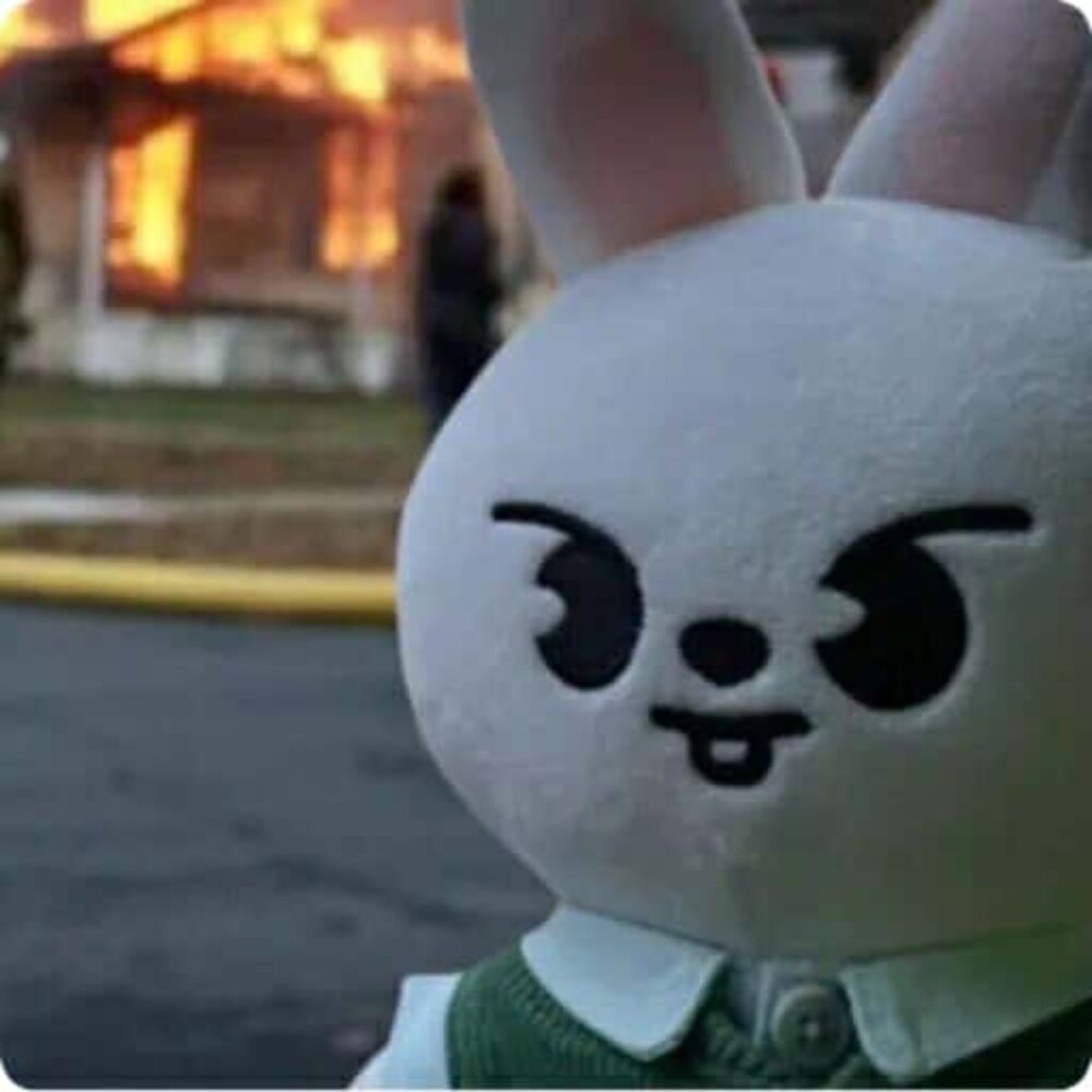 Meet your Posher, Valeria